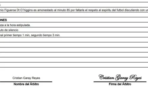 Informe de Cristián Garay