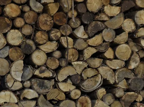 En estas regiones debes vivir para recibir el Ex Bono Leña