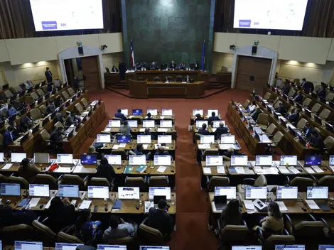 ¿De qué trata el proyecto para impedir un nuevo proceso constitucional en ocho años?