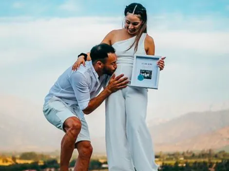 La cigüeña pasa por la casa de Gabriel Suazo en Francia