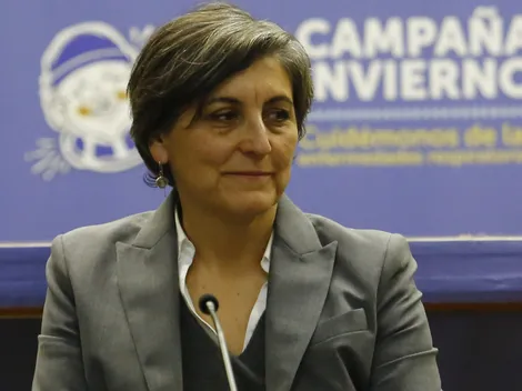 Minsal se pronuncia sobre la viruela del mono: ¿Es posible un brote masivo?