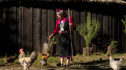 Celebración del año nuevo mapuche