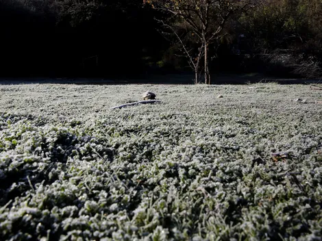 ¿Hasta cuándo dura el invierno que empieza hoy 21 de junio?