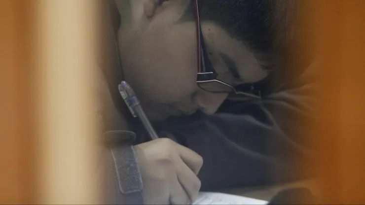 Alumno prioritario
