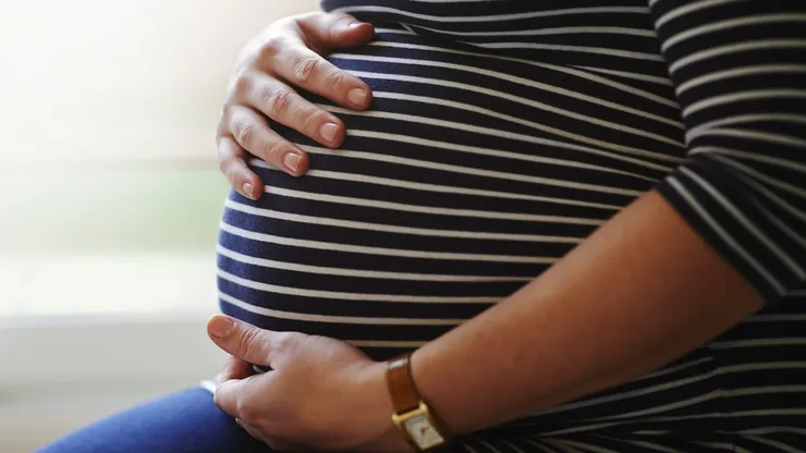 Subsidio Maternal