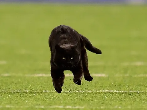 ¿Qué cosas no se pueden hacer un martes 13 según la tradición?