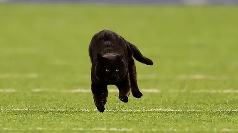 ¿Qué no se puede hacer un martes 13 de mala suerte?