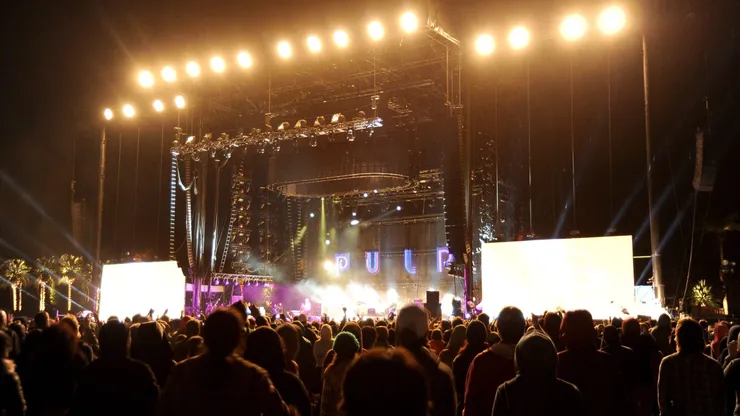 Pulp.