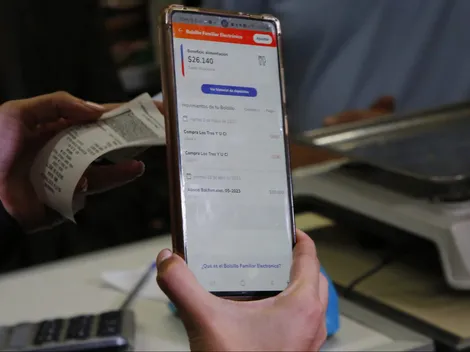 ¿Puedo apelar al Bolsillo familiar Electrónico si no lo recibí?