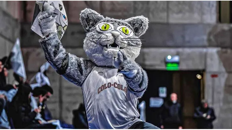 El Gato Colo Colo fue asaltado por hinchas de la U.