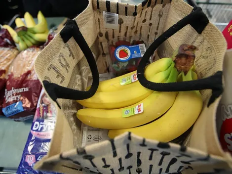 ¿Cuál es el monto por causante del Bolsillo Familiar Electrónico?