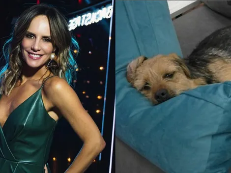 ¿Qué dijo Diana Bolocco por los malos tratos a Bigote en GH?