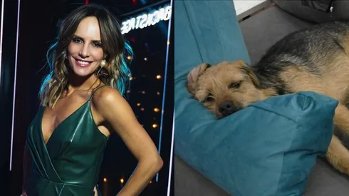 ¿Qué dijo Diana Bolocco por los malos tratos a Bigote en GH?