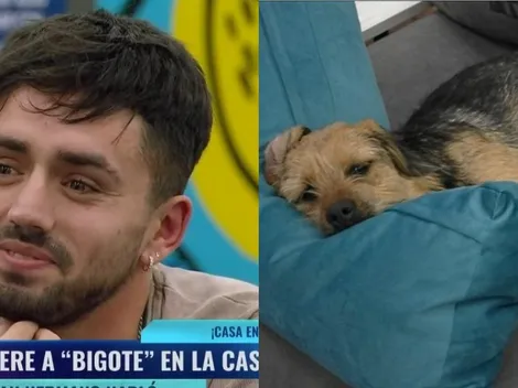 ¿Qué dijo Bambino sobre Bigote de Gran Hermano?