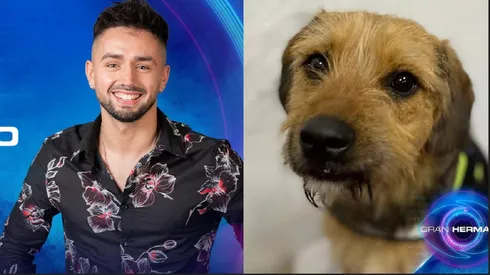 Piden expulsión de El Bambino por dichos contra Bigote.