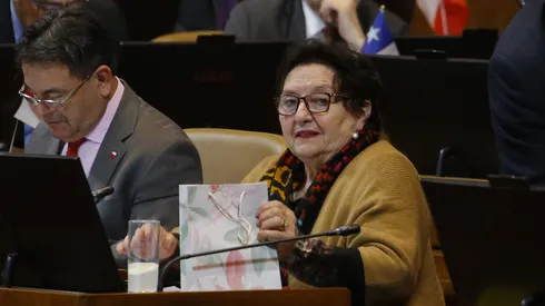 Diputada Maria Luisa Cordero