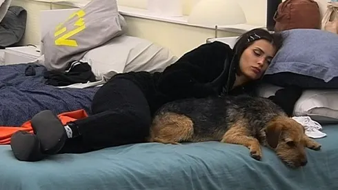 Descubre cuánto tiempo Bigote estará en la casa de Gran Hermano