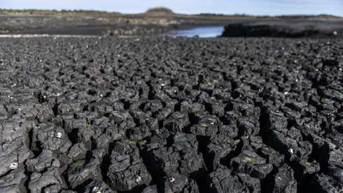 Uruguay puede quedarse sin agua potable.