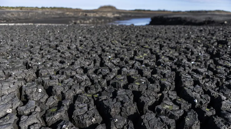 Uruguay puede quedarse sin agua potable.