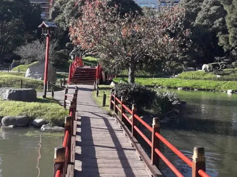 Vacaciones de invierno: ¿Cómo llegar al Jardín Japonés?