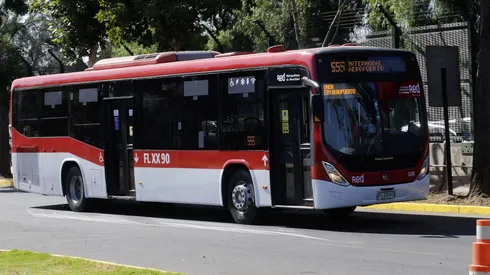 Imagen de referencia.