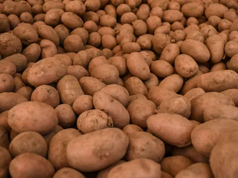 ¿Cuánto vale la papa argentina y cómo diferenciarla de la chilena?