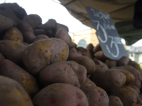 Crece la demanda de papas argentinas: ¿Dónde se pueden comprar?