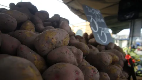 Alza en el precio de la papa.