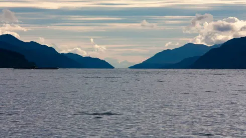 Buscan al monstruo del lago Ness