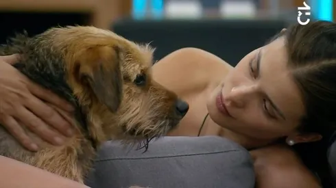 Cony revela llevarse a Bigotes a Chile.