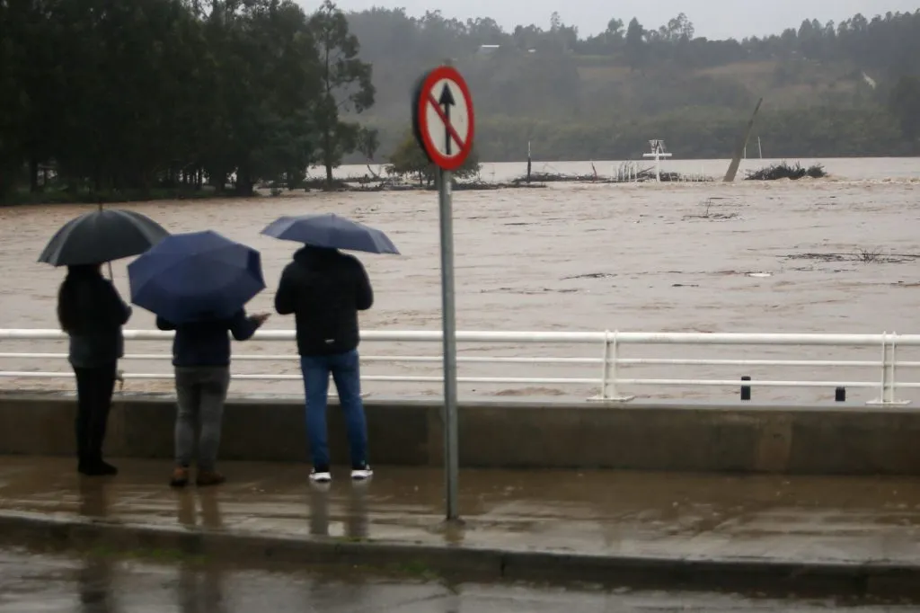 Constitución, 21 de agosto de 2023 Crecida del Río Maule en el sector de Constitución y Quivolgo. José Robles/Aton Chile