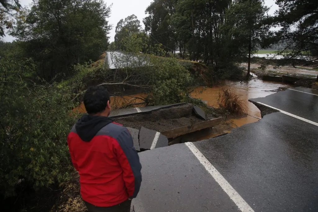 Constitución, 21 de agosto de 2023 Crecida del Río Maule en el sector de Constitución y Quivolgo. José Robles/Aton Chile