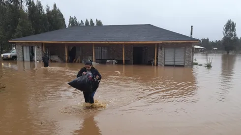 Nuevo bono para damnificados