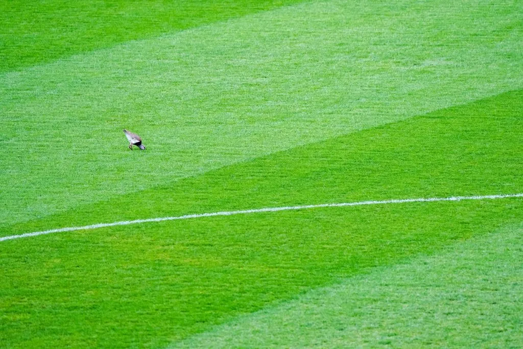 Así luce la cancha del Monumental este domingo | Guille Salazar/RedGol