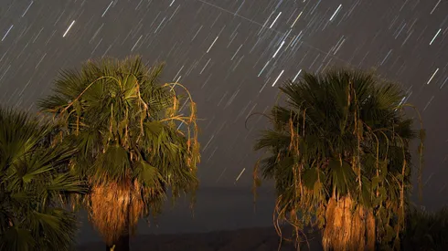 Lluvia de Leónidas: ¿Cuándo es, a qué hora y cómo verlas desde Chile?