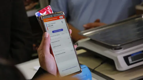 Bolsillo Familiar Electrónico.