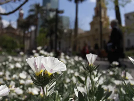 ¿Llueve? Así estará el clima hoy en Santiago