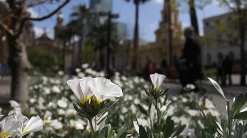 ¿Lloverá esta primavera?