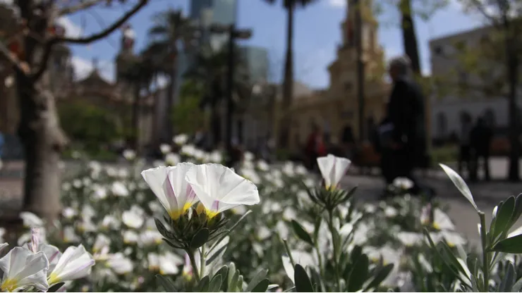 ¿Lloverá esta primavera?