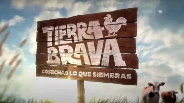 Conoce a la posible nueva eliminada.