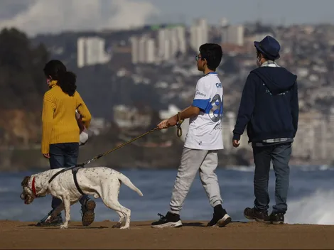 ¿Cuáles son los requisitos y cómo recibir el Bolsillo Electrónico Familiar?