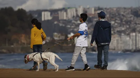 ¿Cuáles son los requisitos y cómo recibir el Bolsillo Electrónico Familiar?