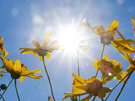 ¿Cuándo empieza la primavera en Chile?