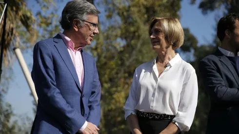 UDI elige a su candidata