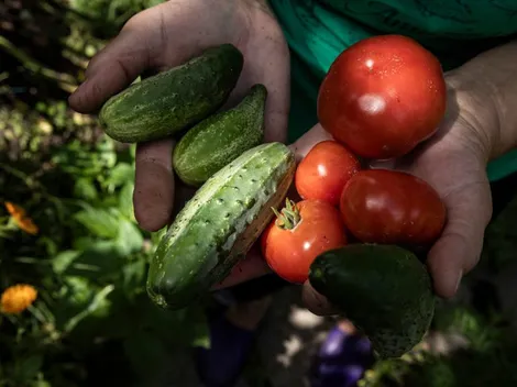 Estas son las recetas vegetarianas que puedes hacer en tu parrilla