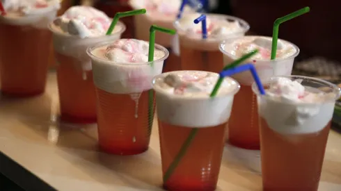 Fondas del Parque O'Higgins se llenan de críticas por altos precios