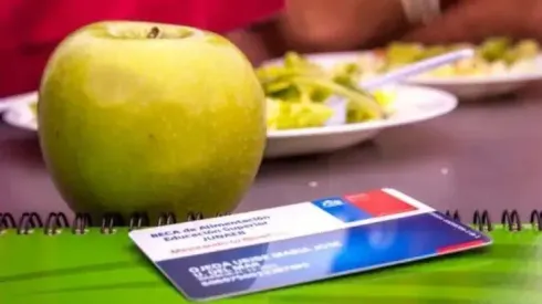 ¿En qué lugares se puede comprar con la Junaeb? Los establecimientos que aceptan las BAES