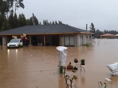 ¿Dónde se aplica la Ficha FIBE?