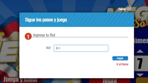 Mega Sorteo: ¿Cómo participar en los 100 millones de lotería para fin de año?