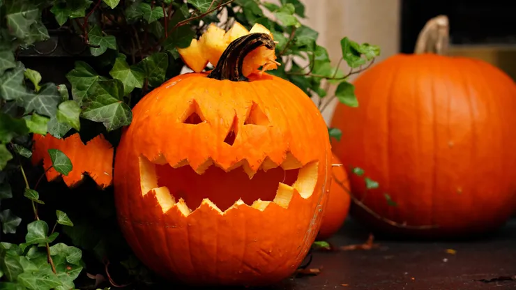 ¿Qué es Halloween y por qué se celebra? Revisa de dónde viene este día.